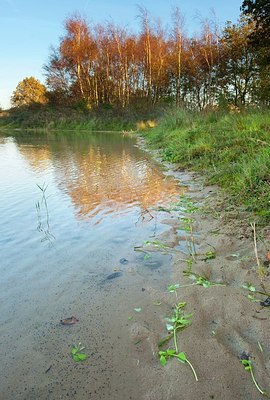 BUITEN BEELD Foto: 160675