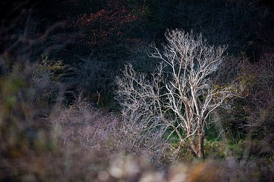 BUITEN BEELD Foto: 160677