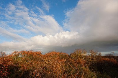 BUITEN BEELD Foto: 160694