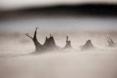 BUITEN BEELD Foto: 160704