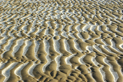 BUITEN BEELD Foto: 160721
