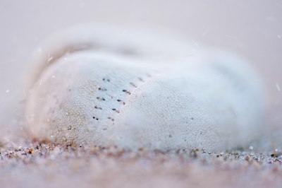 BUITEN BEELD Foto: 160734