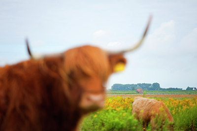 BUITEN BEELD Foto: 160756