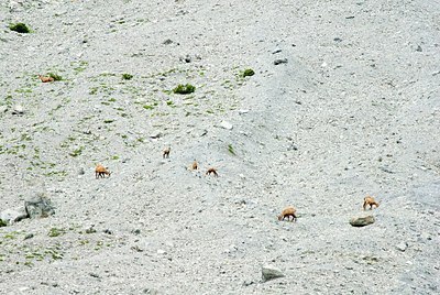 BUITEN BEELD Foto: 160760