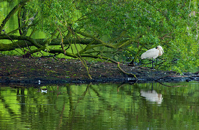 BUITEN BEELD Foto: 160780
