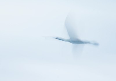 BUITEN BEELD Foto: 160782