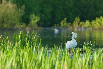 BUITEN BEELD Foto: 160784