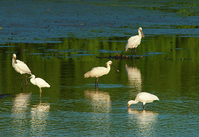 BUITEN BEELD Foto: 160785