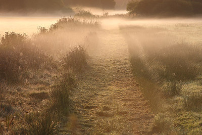 BUITEN BEELD Foto: 160813