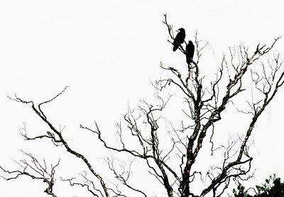 BUITEN BEELD Foto: 160856