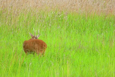 BUITEN BEELD Foto: 160868