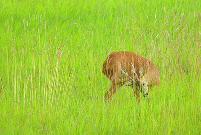 BUITEN BEELD Foto: 160870