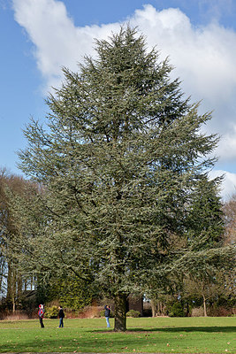 BUITEN BEELD Foto: 160920