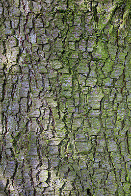 BUITEN BEELD Foto: 160923