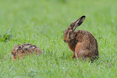 BUITEN BEELD Foto: 160938