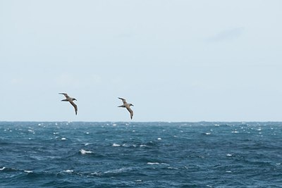 BUITEN BEELD Foto: 160951