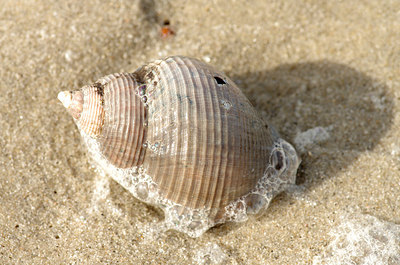 BUITEN BEELD Foto: 160968
