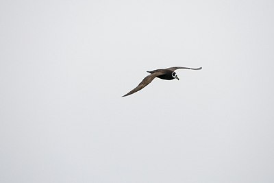 BUITEN BEELD Foto: 160998