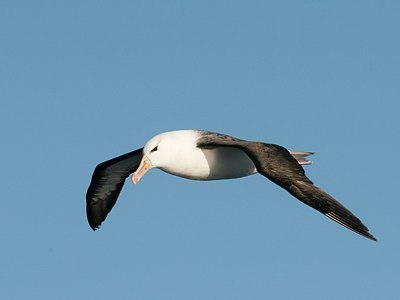 BUITEN BEELD Foto: 160999