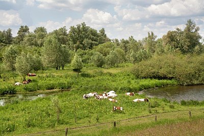 BUITEN BEELD Foto: 161025