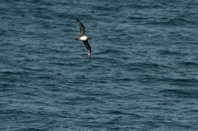 BUITEN BEELD Foto: 161040