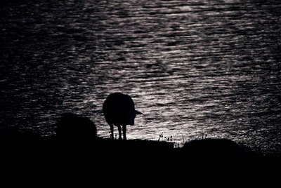 BUITEN BEELD Foto: 161096
