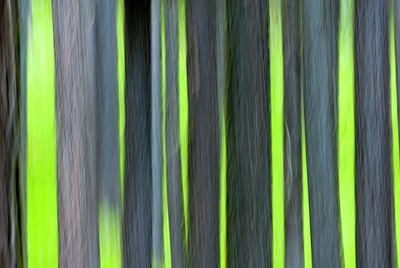 BUITEN BEELD Foto: 161153