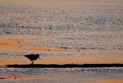 BUITEN BEELD Foto: 161185