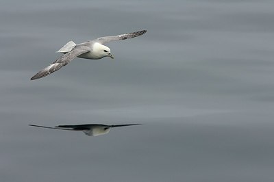 BUITEN BEELD Foto: 161242