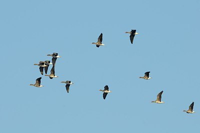 BUITEN BEELD Foto: 161250