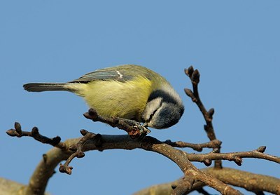 BUITEN BEELD Foto: 161265