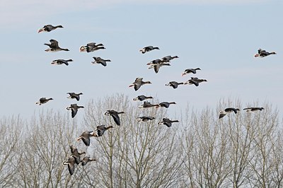 BUITEN BEELD Foto: 161268