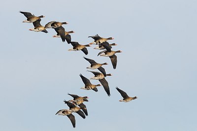 BUITEN BEELD Foto: 161307