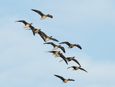 BUITEN BEELD Foto: 161308