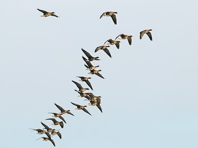 BUITEN BEELD Foto: 161309
