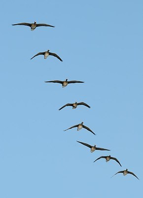 BUITEN BEELD Foto: 161311