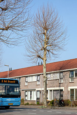BUITEN BEELD Foto: 161324