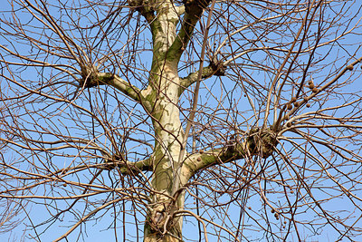 BUITEN BEELD Foto: 161325
