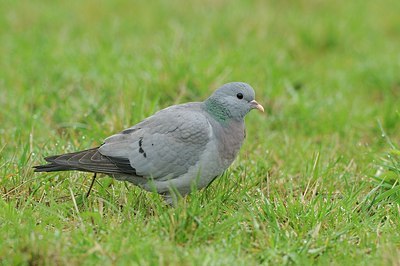 BUITEN BEELD Foto: 161336