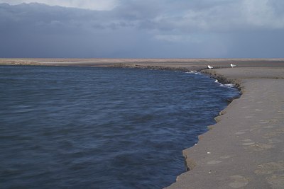 BUITEN BEELD Foto: 161345