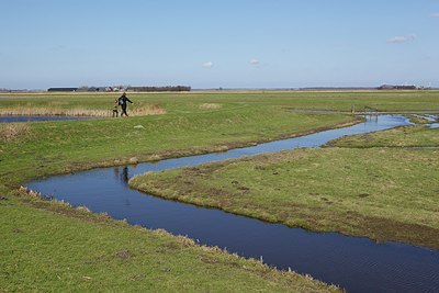 BUITEN BEELD Foto: 161388