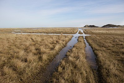 BUITEN BEELD Foto: 161389