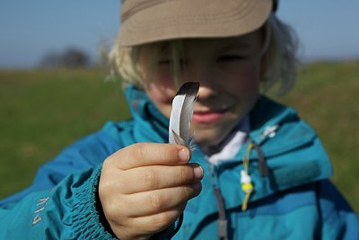 BUITEN BEELD Foto: 161391