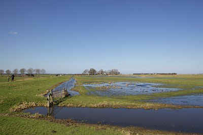 BUITEN BEELD Foto: 161405