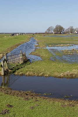 BUITEN BEELD Foto: 161411