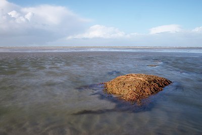 BUITEN BEELD Foto: 161412