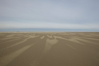 BUITEN BEELD Foto: 161434