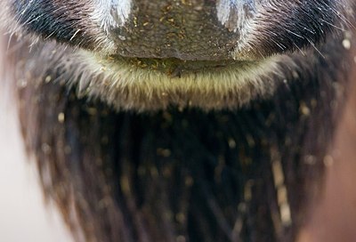BUITEN BEELD Foto: 161481