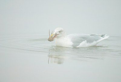 BUITEN BEELD Foto: 161542