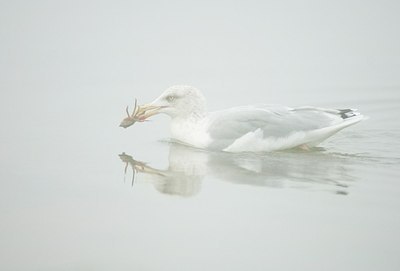 BUITEN BEELD Foto: 161543